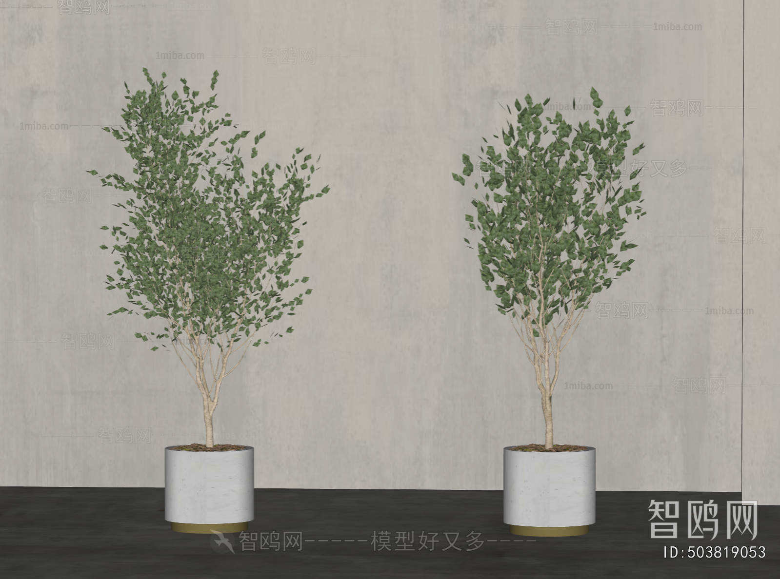 Modern Ground Green Plant Potted Plants