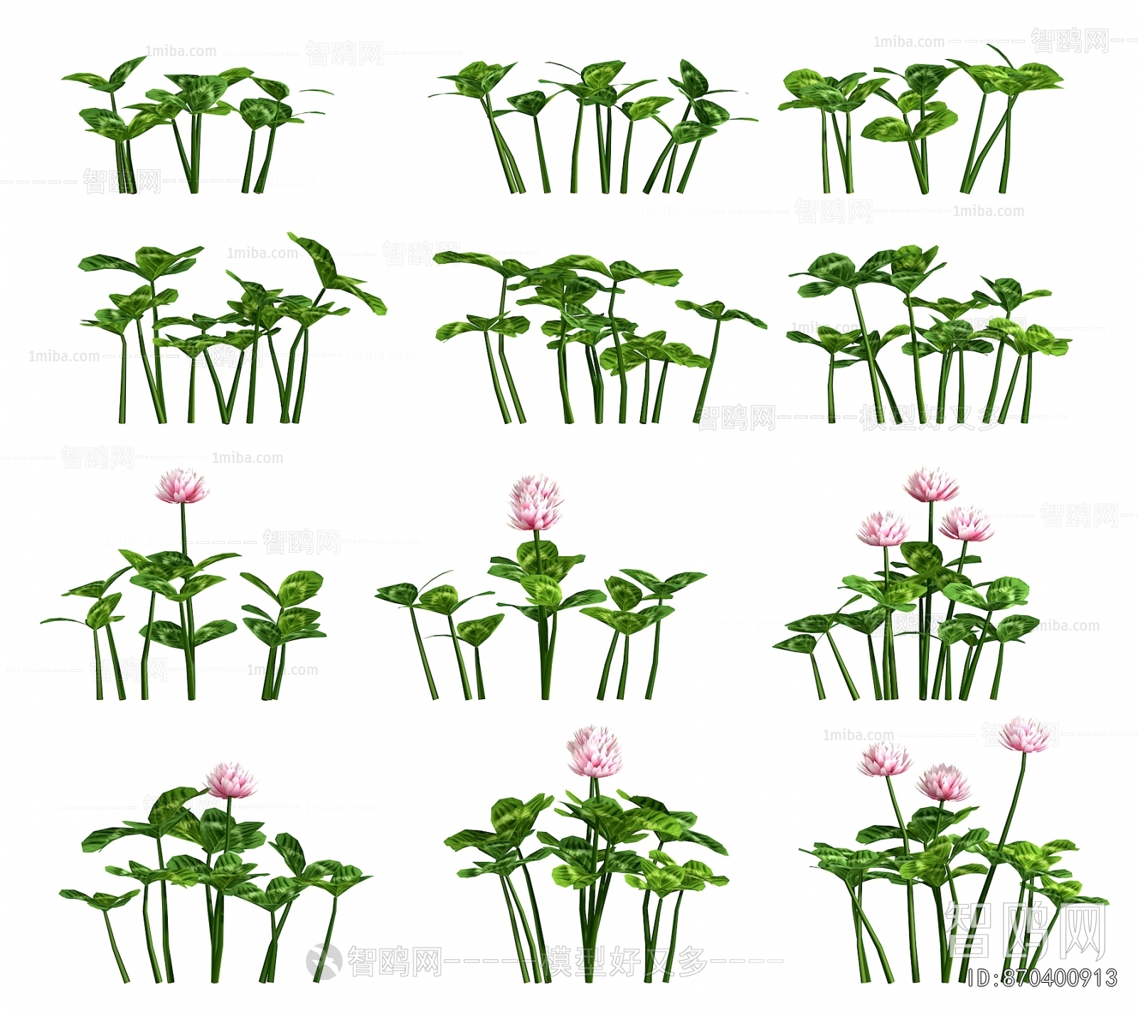 Modern Flowers And Grass