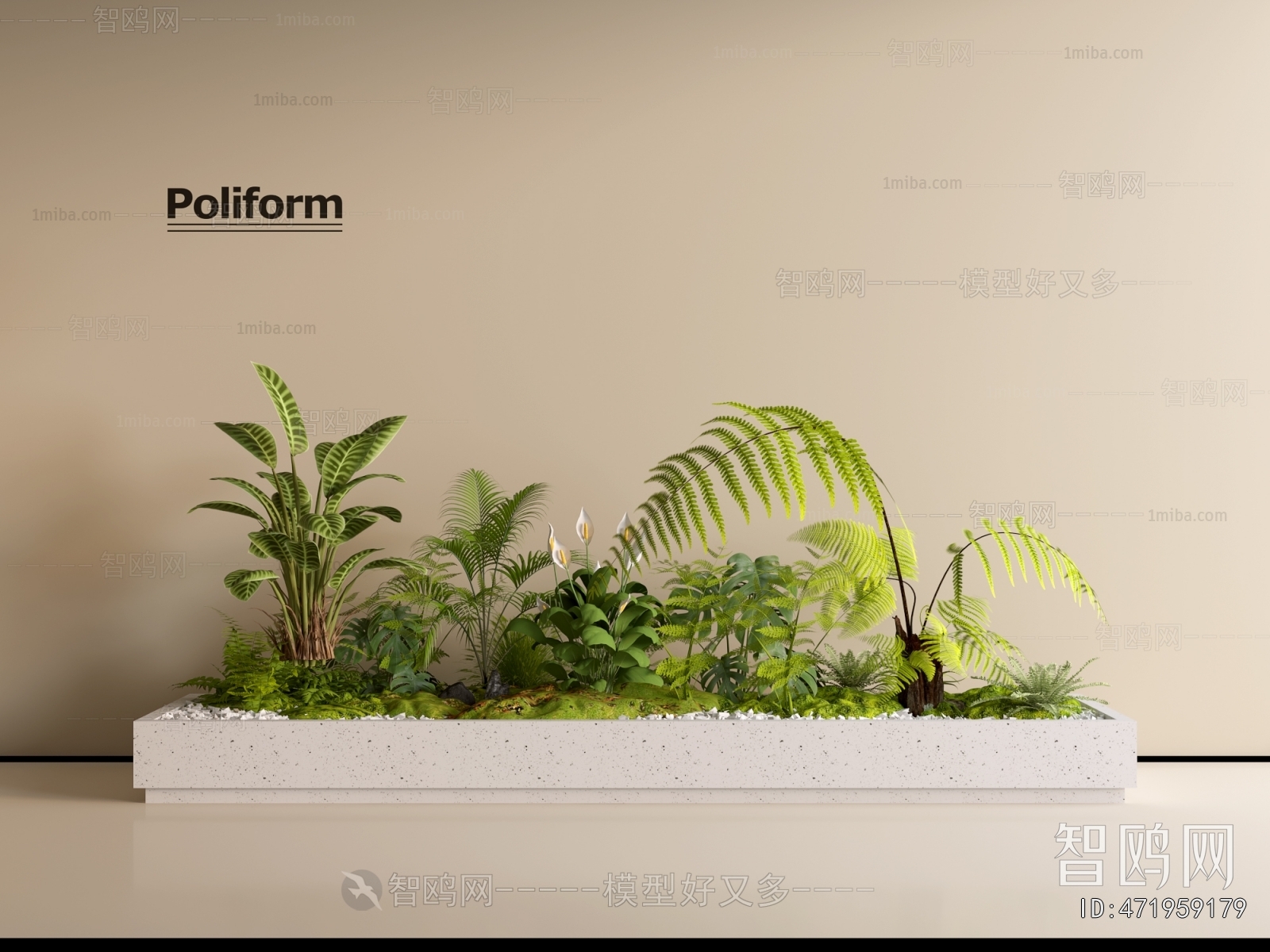 Modern Plant Landscaping