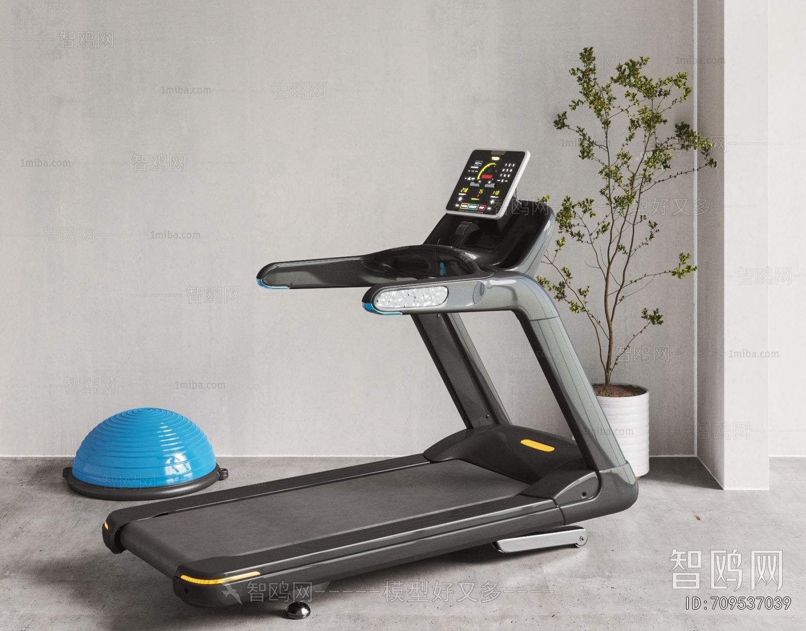 Modern Fitness Equipment