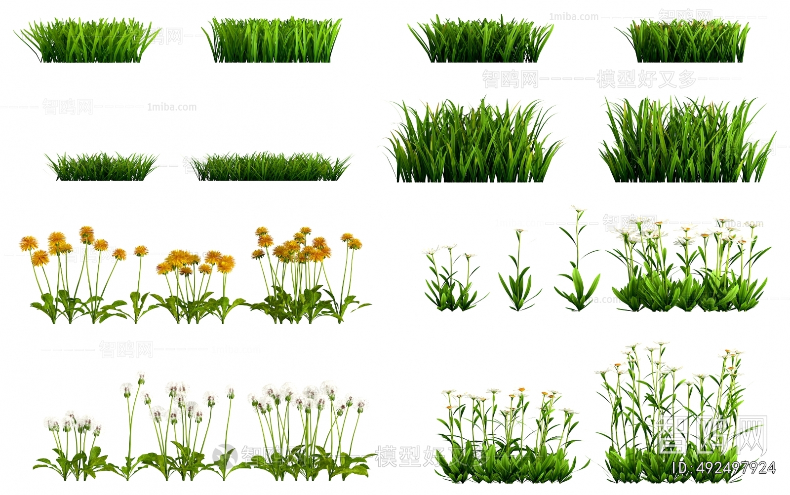 Modern Flowers And Grass