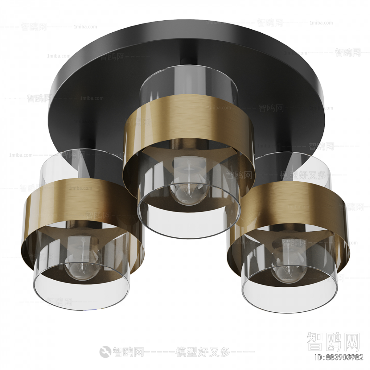 Modern Ceiling Ceiling Lamp