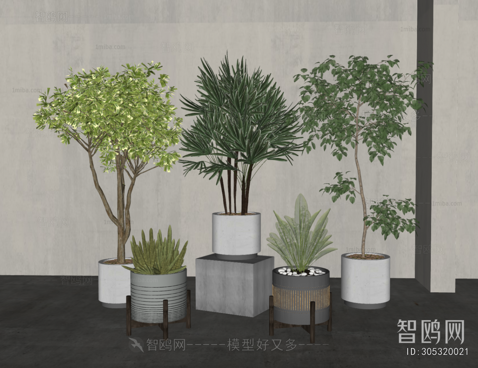 Modern Ground Green Plant Potted Plants