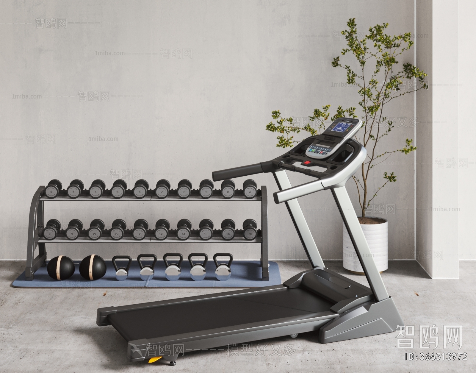 Modern Fitness Equipment