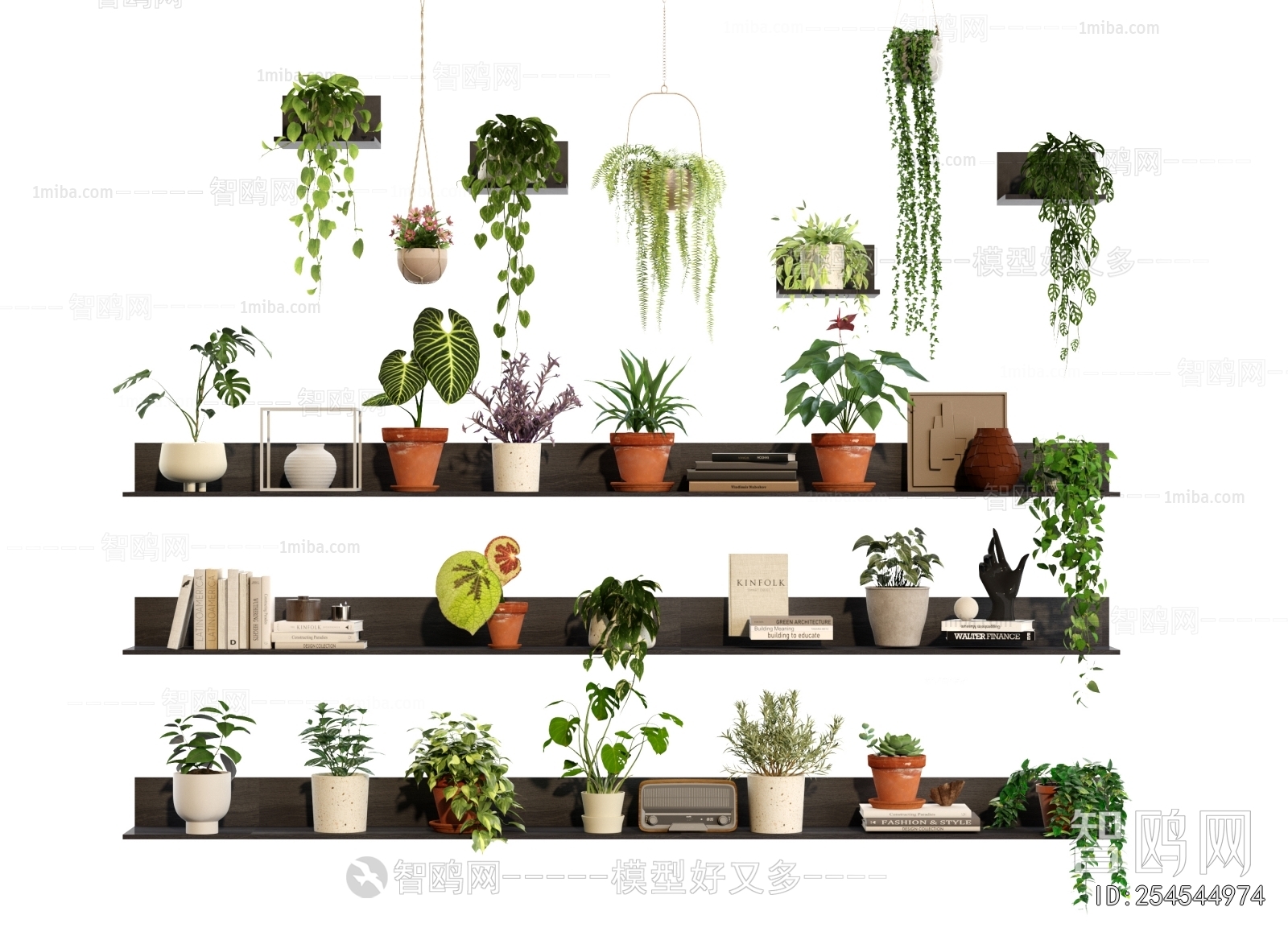 Modern Potted Green Plant