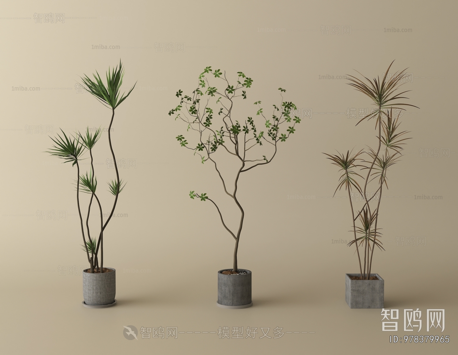 Modern Ground Green Plant Potted Plants