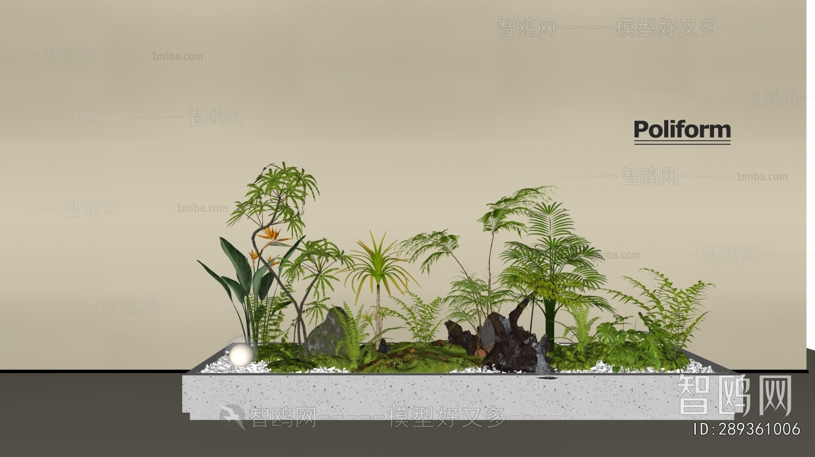 Modern Plant Landscaping