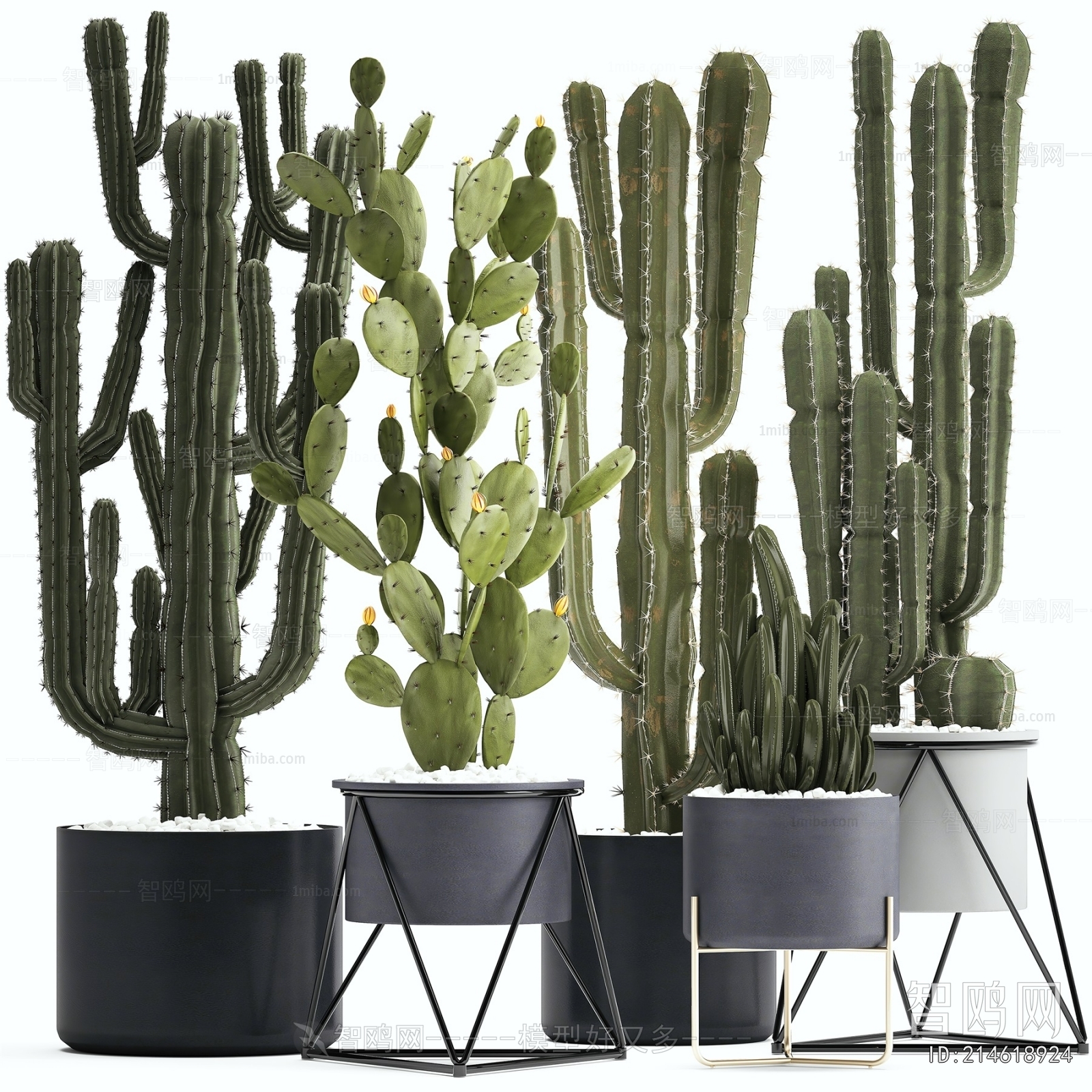 Modern Ground Green Plant Potted Plants