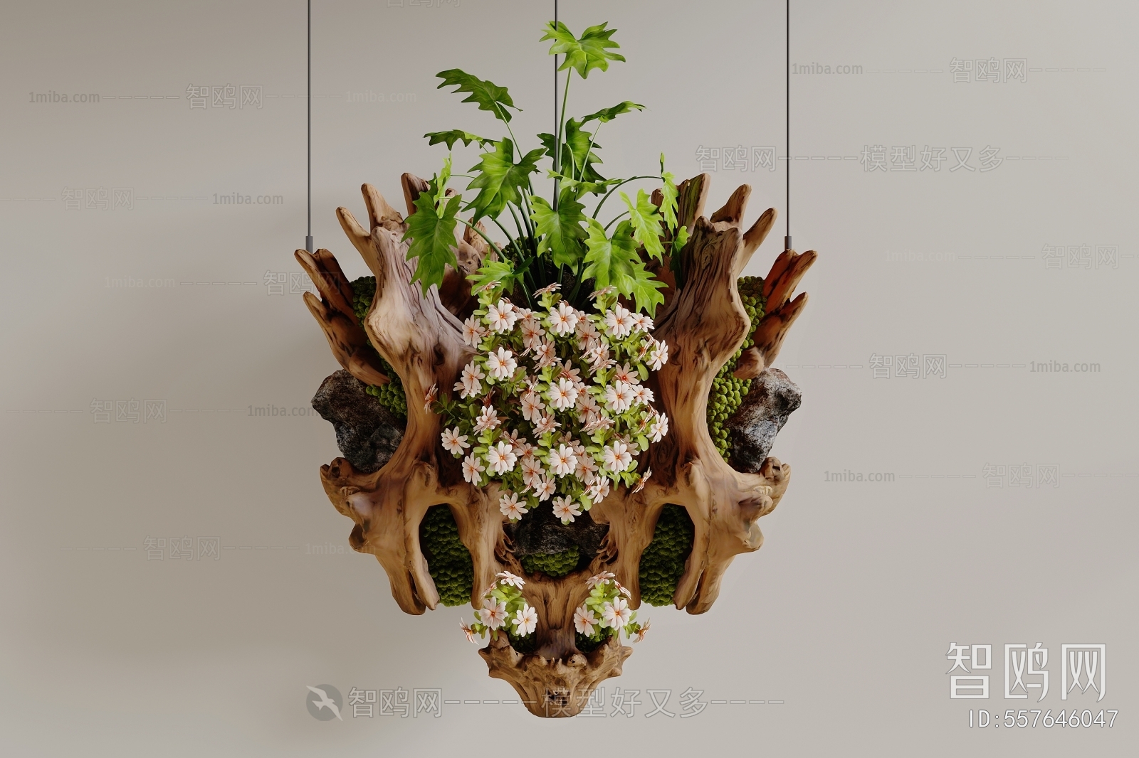 Modern Plant Landscaping