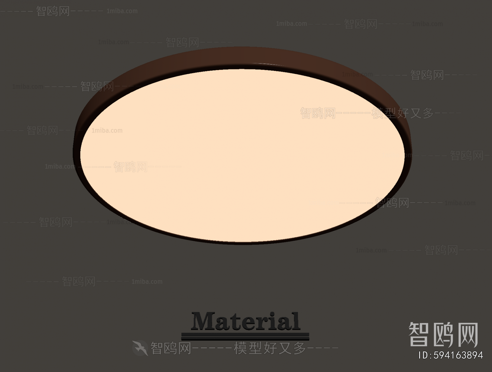 Modern Ceiling Ceiling Lamp