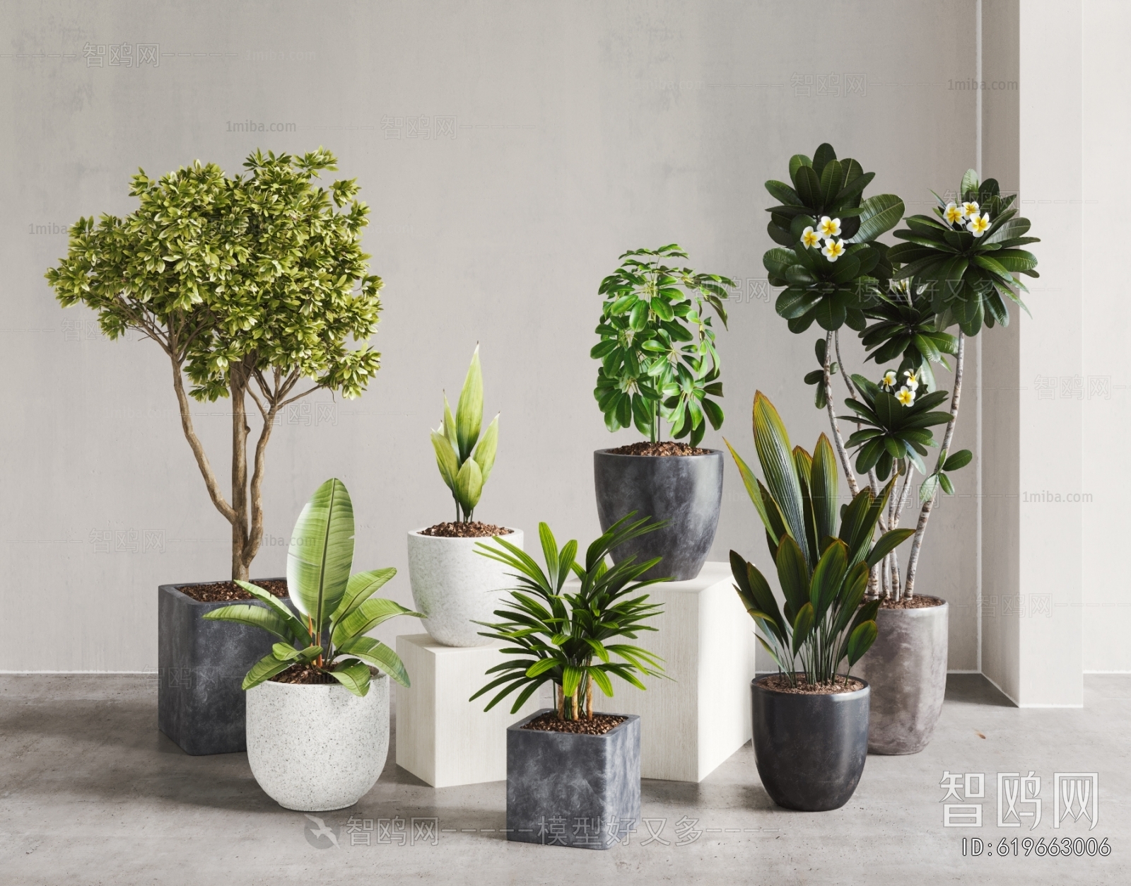 Modern Ground Green Plant Potted Plants