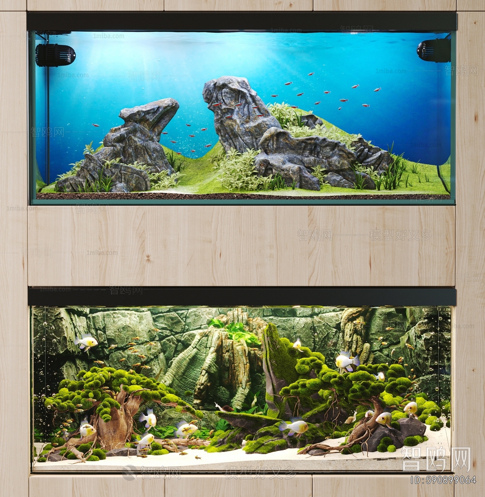 Modern Fish Tank