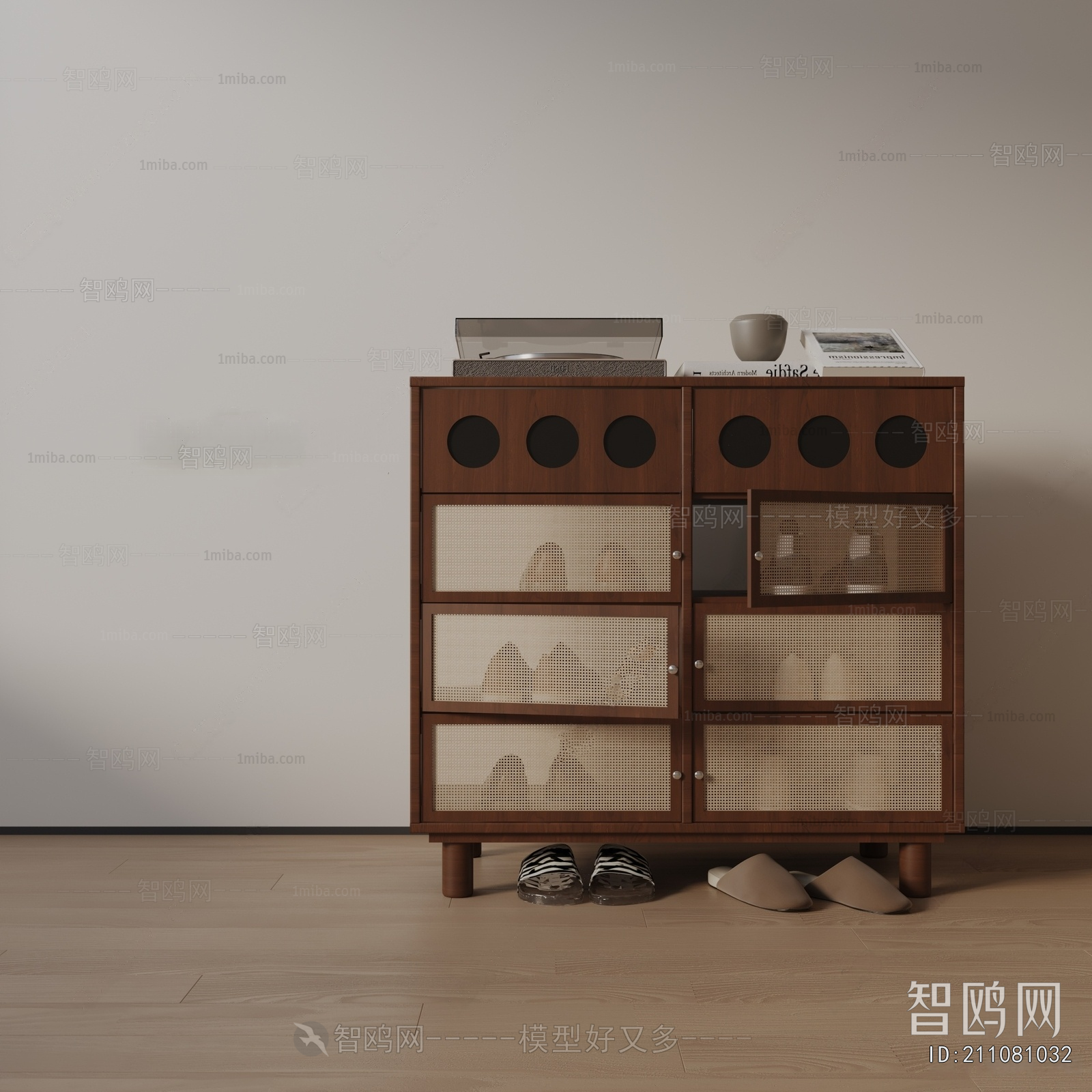 Modern Shoe Cabinet