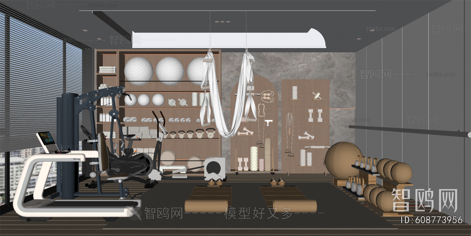 Modern Home Fitness Room