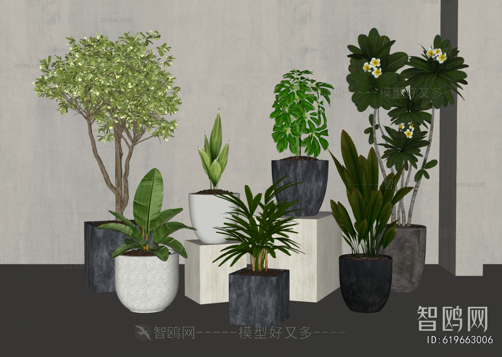 Modern Ground Green Plant Potted Plants