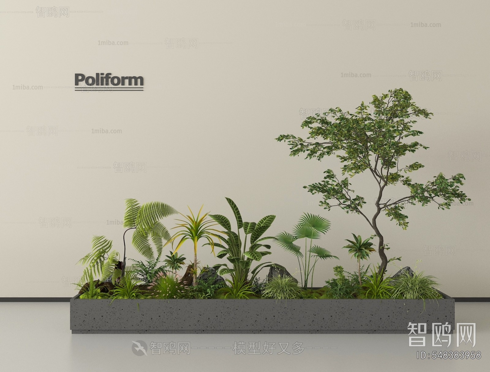 Modern Plant Landscaping