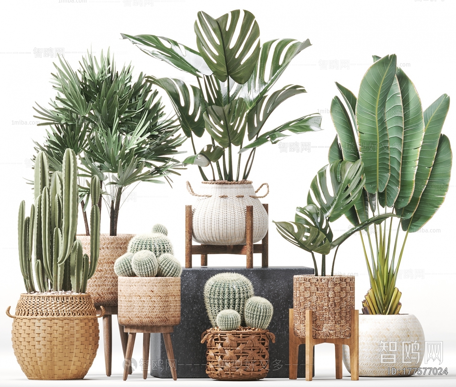 Nordic Style Potted Green Plant