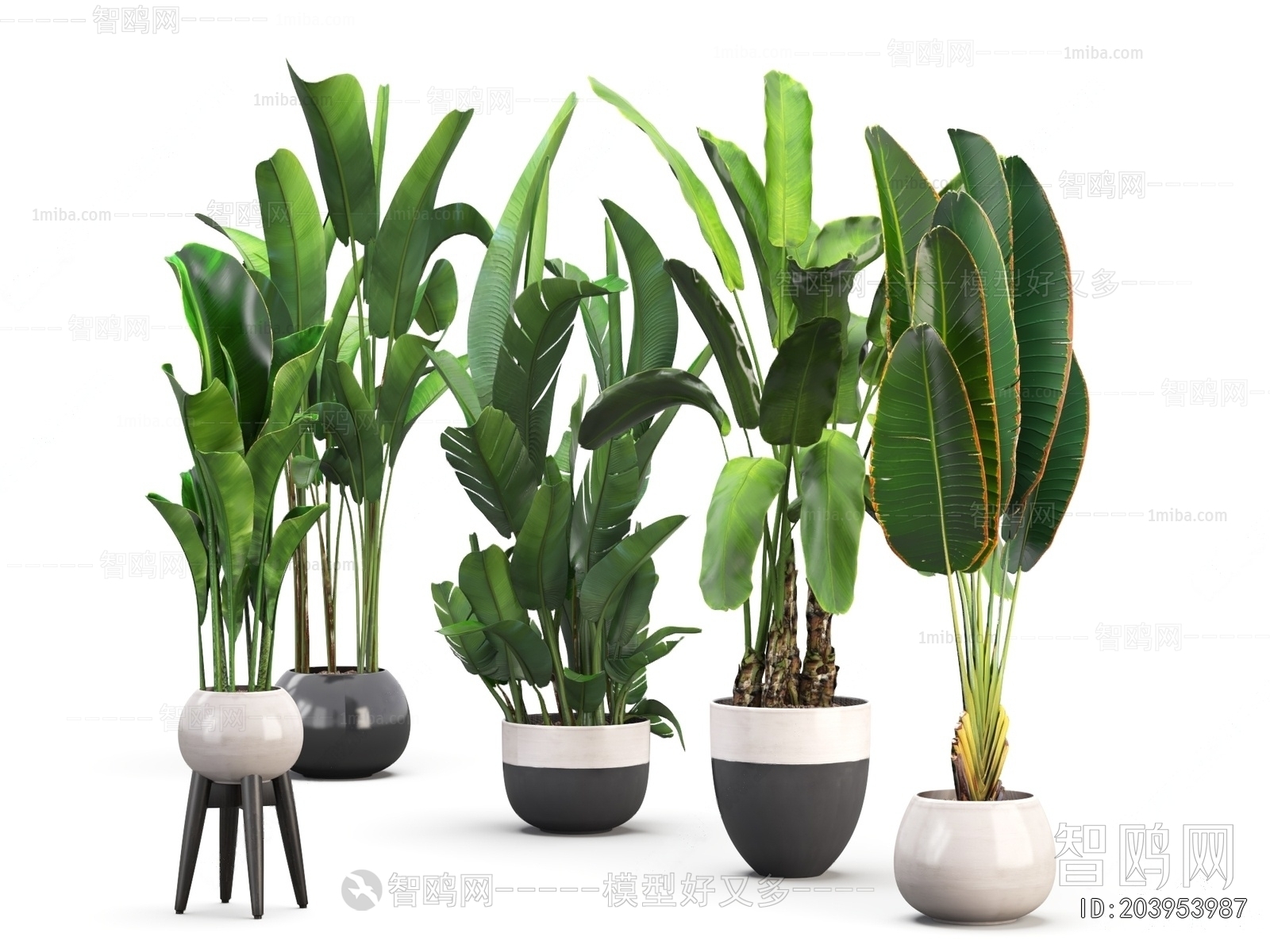 Modern Ground Green Plant Potted Plants