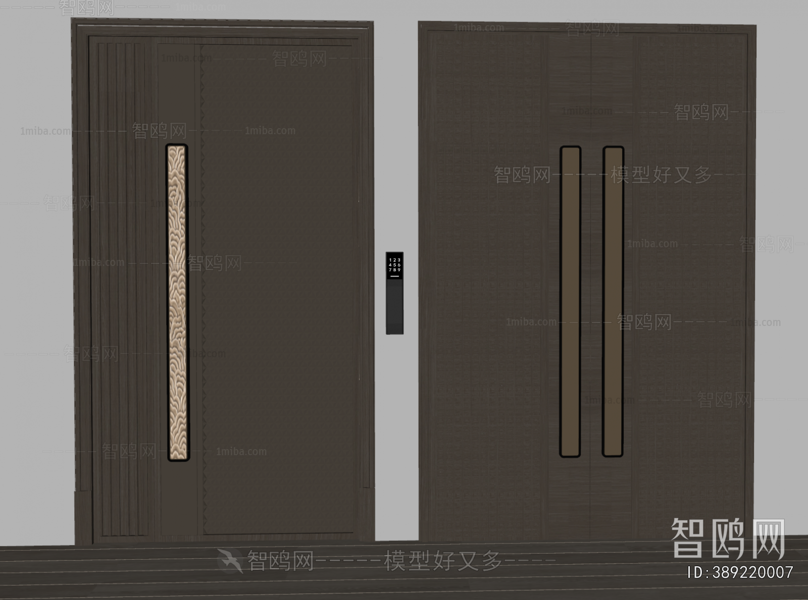 Modern Entrance Door