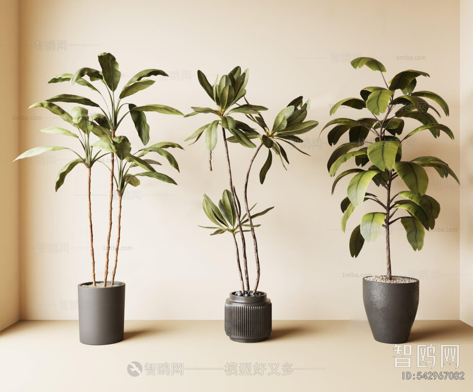 Modern Ground Green Plant Potted Plants