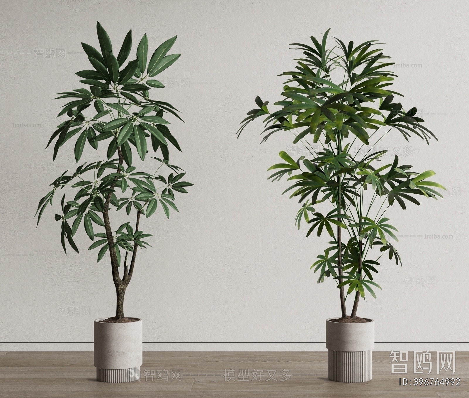 Modern Ground Green Plant Potted Plants