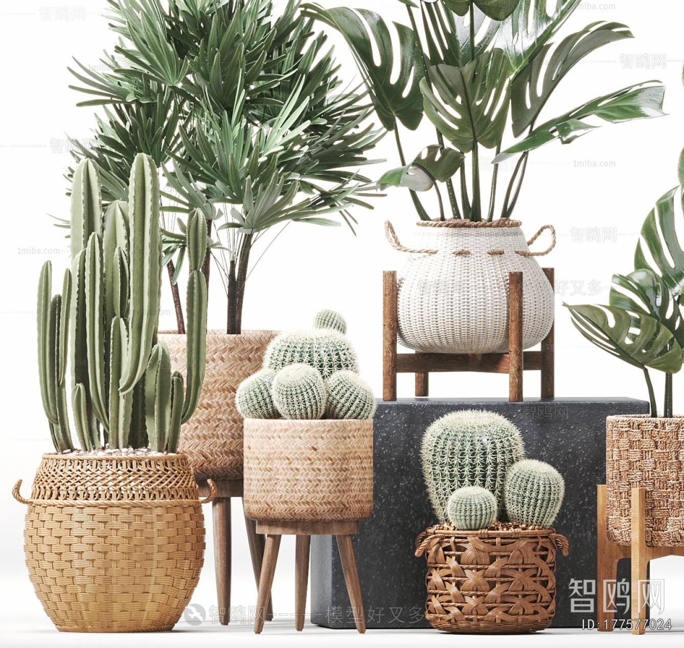 Nordic Style Potted Green Plant