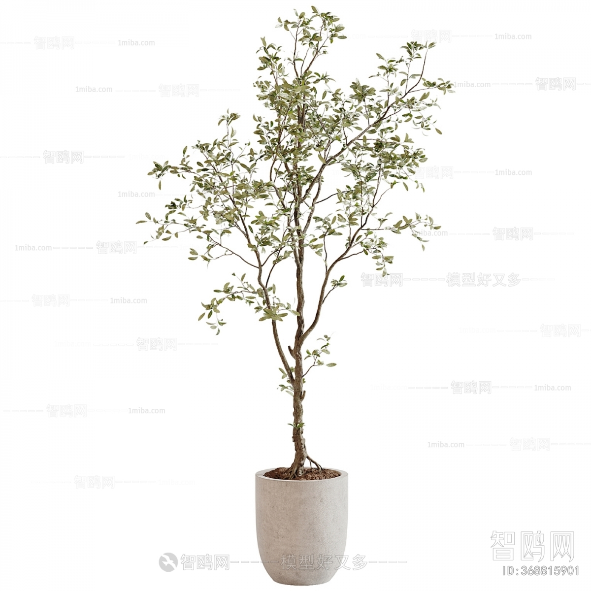 Modern Ground Green Plant Potted Plants