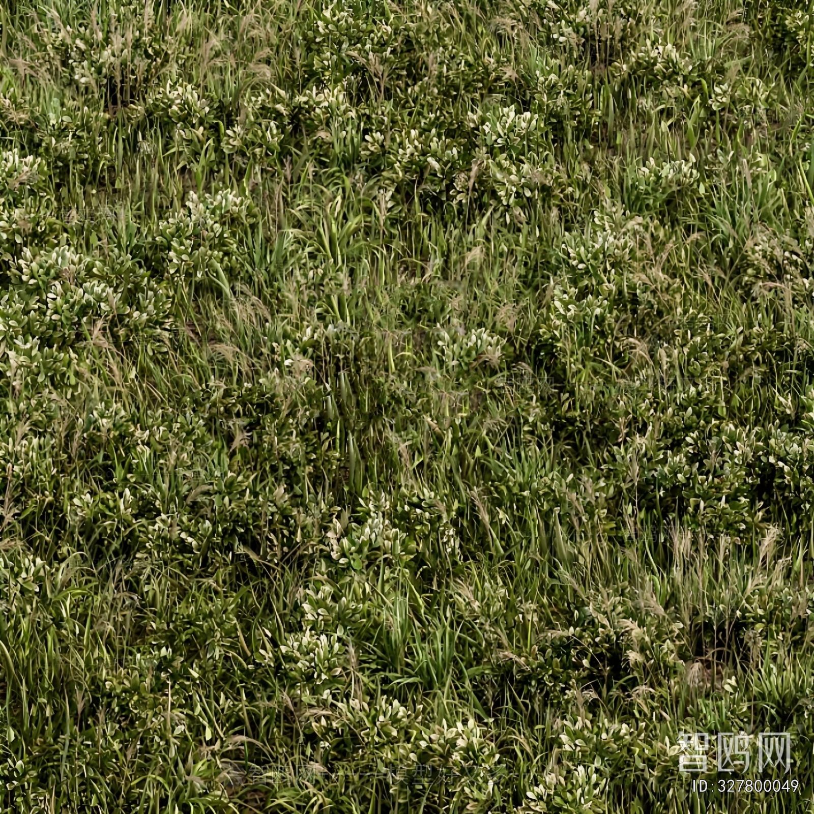 Modern Flowers And Grass