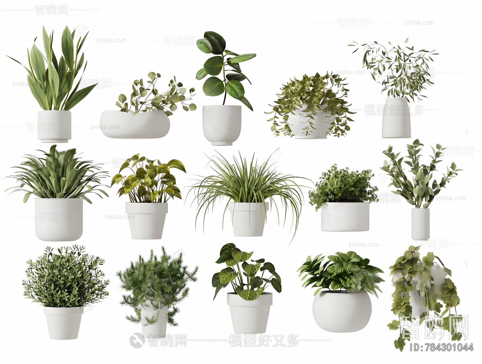 Modern Potted Green Plant