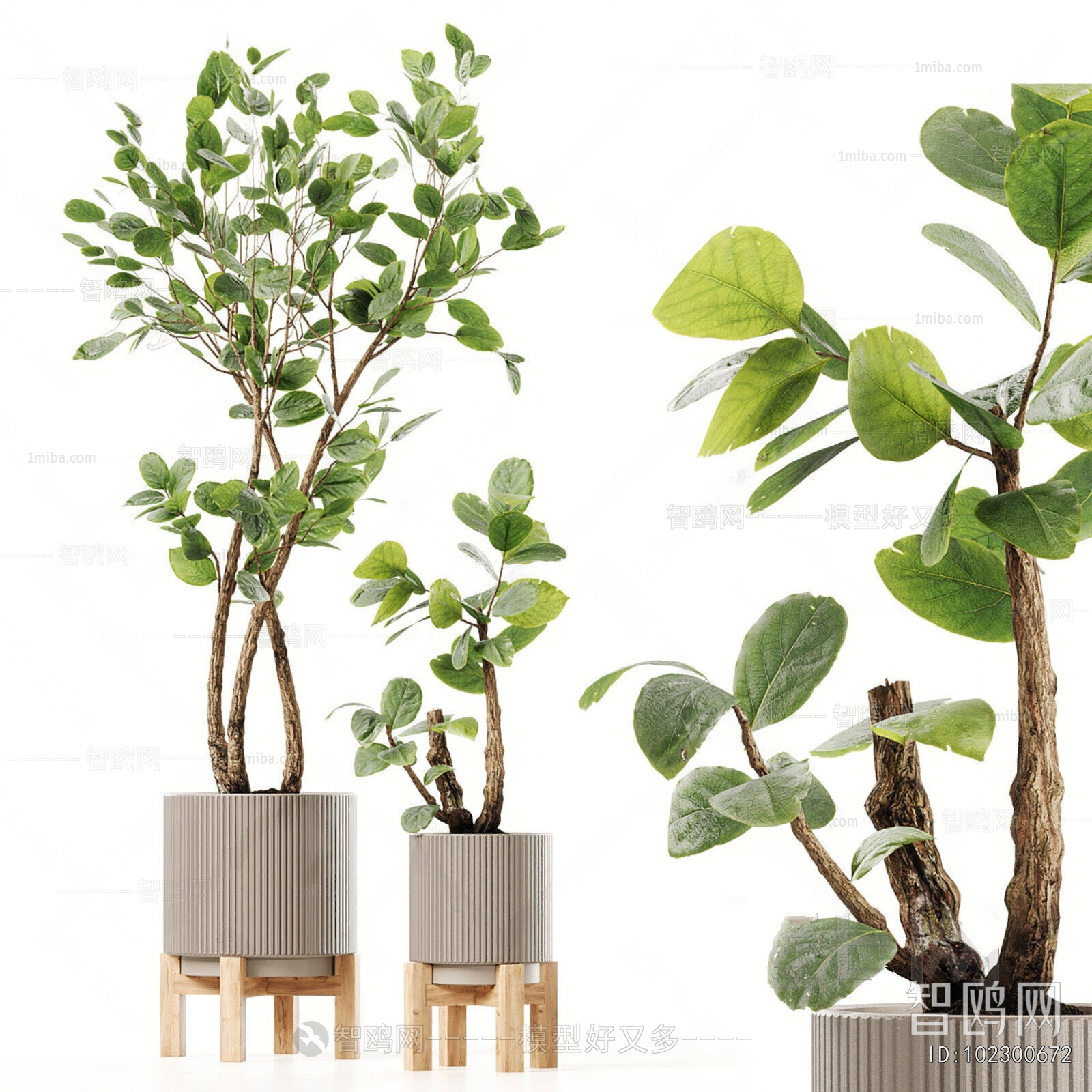 Modern Ground Green Plant Potted Plants