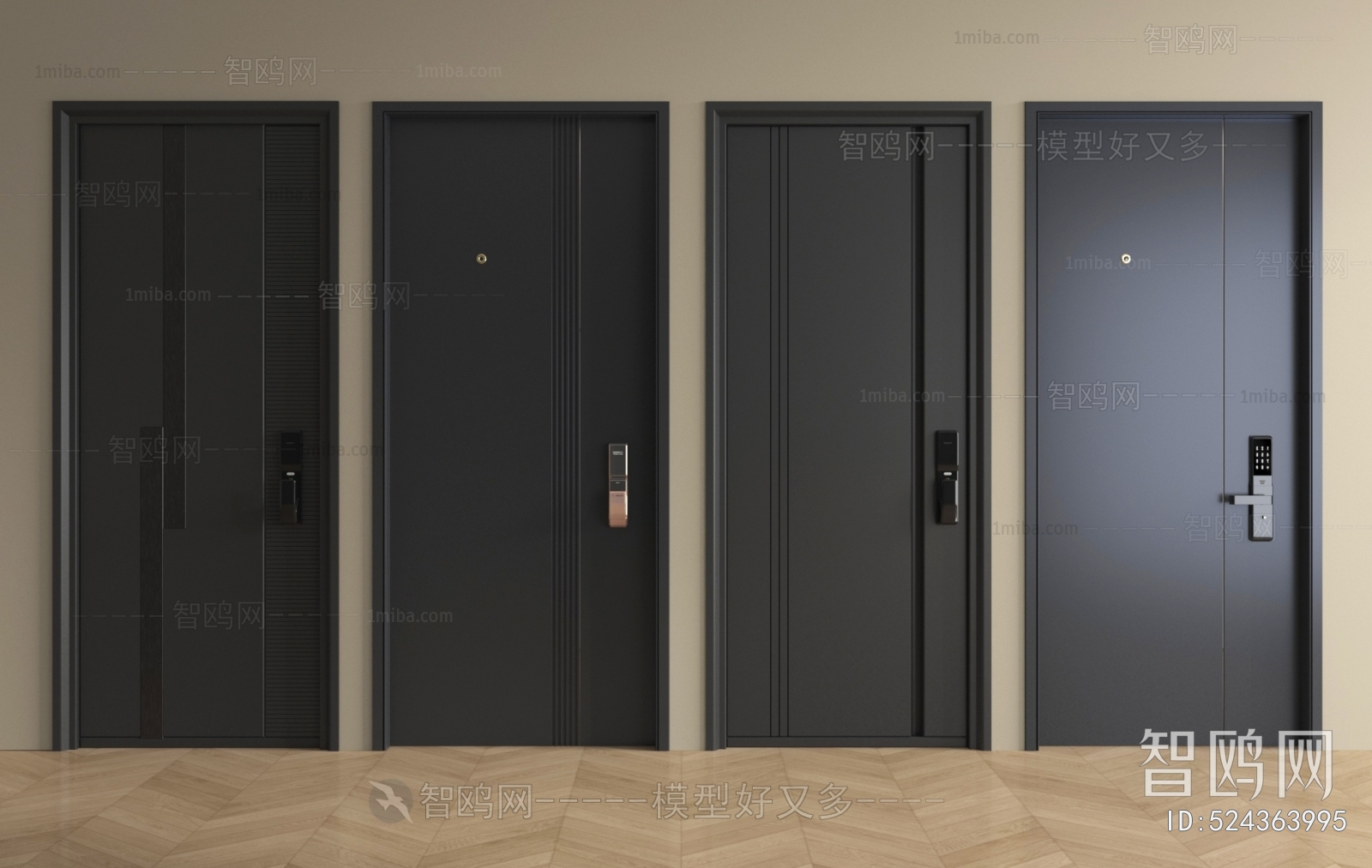 Modern Entrance Door