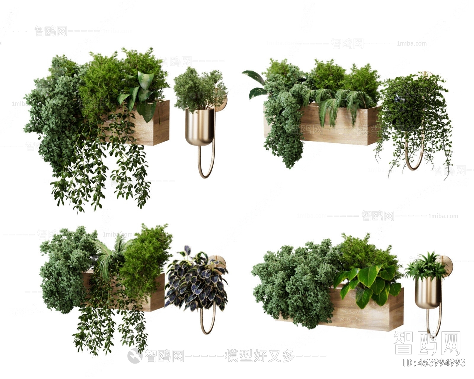 Modern Potted Green Plant