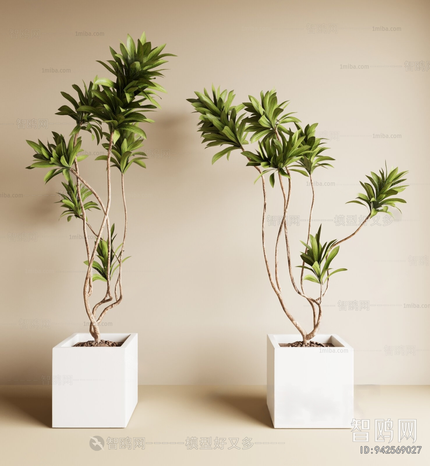 Modern Ground Green Plant Potted Plants