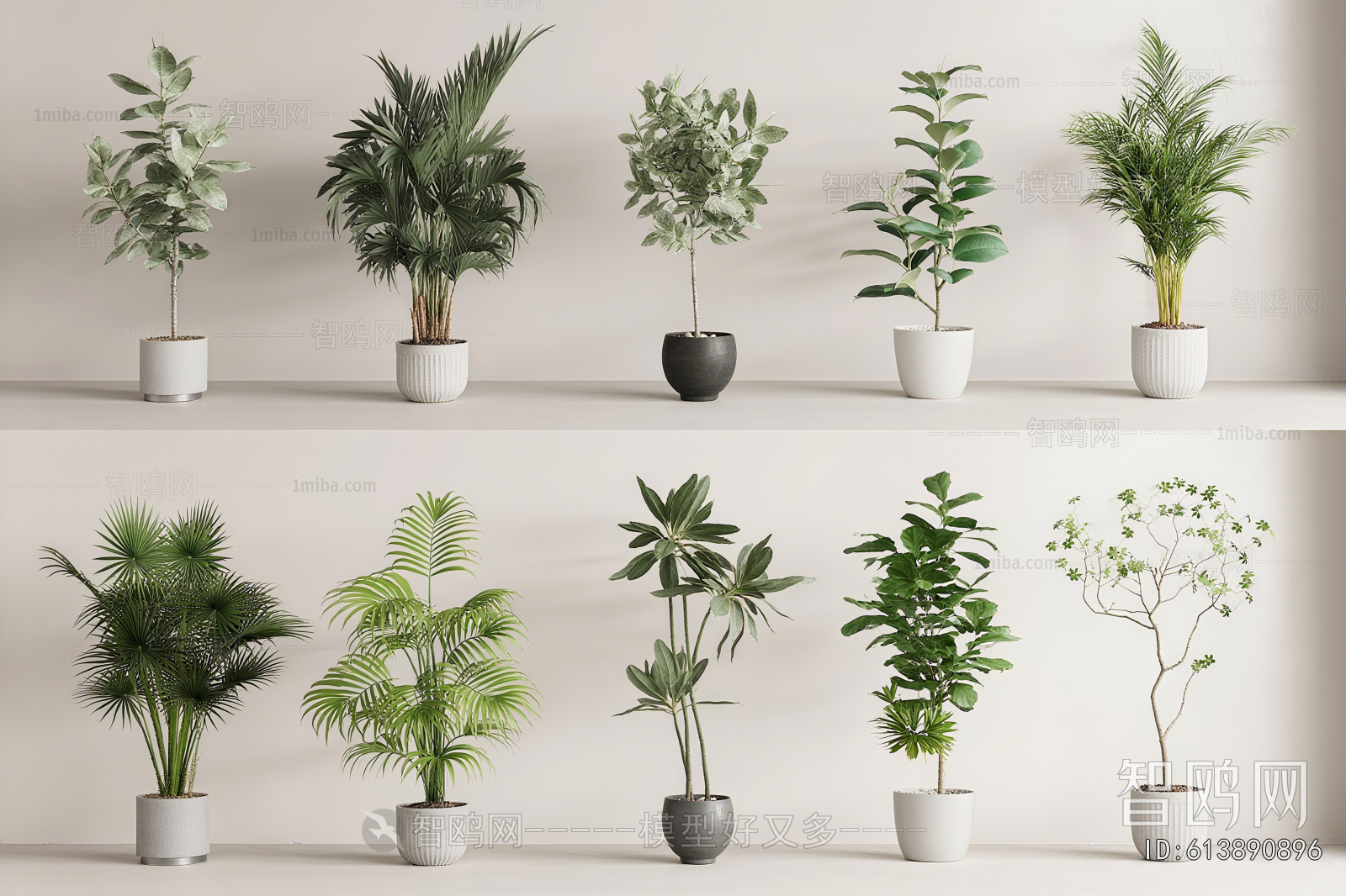 Modern Ground Green Plant Potted Plants