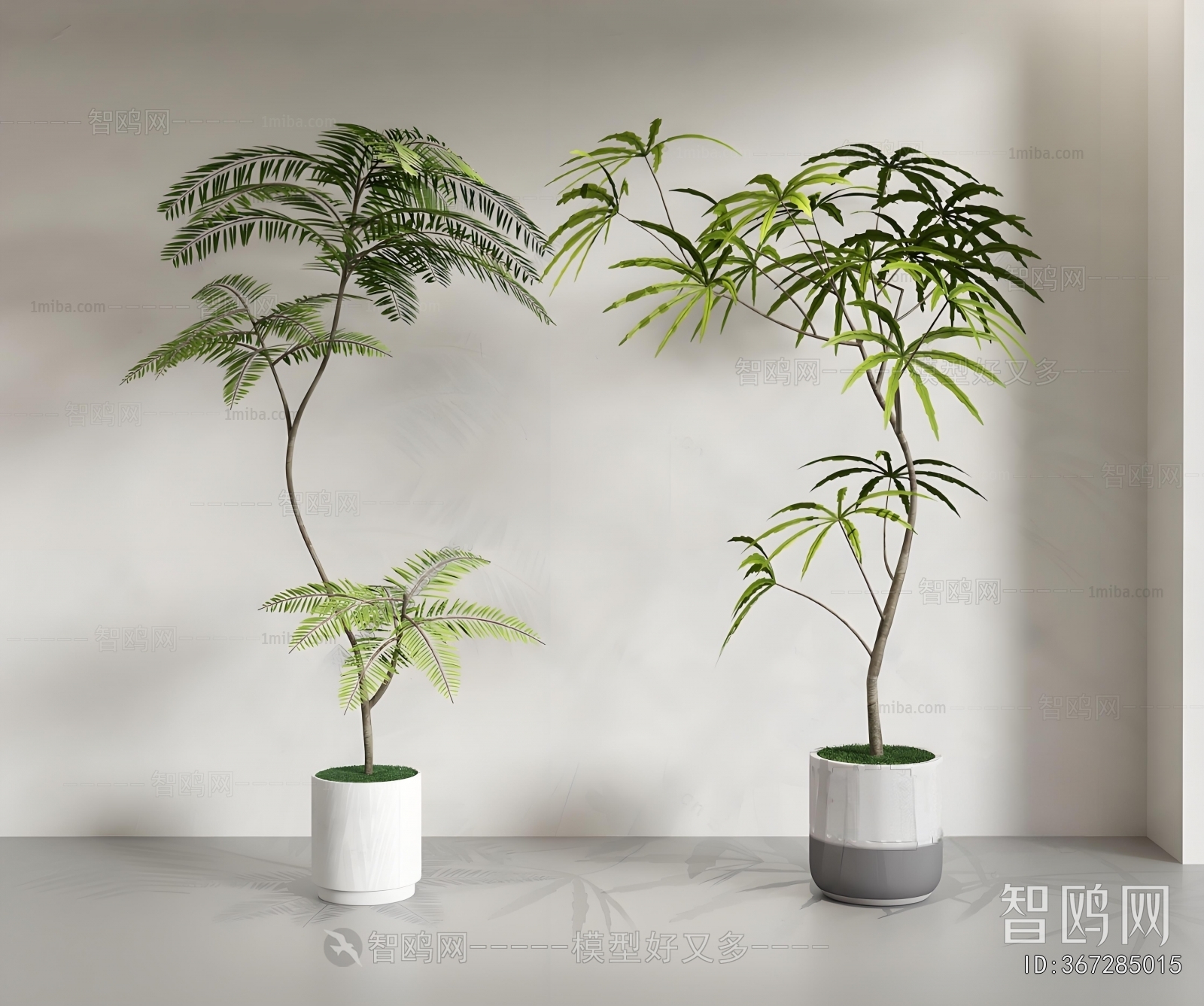 Modern Ground Green Plant Potted Plants