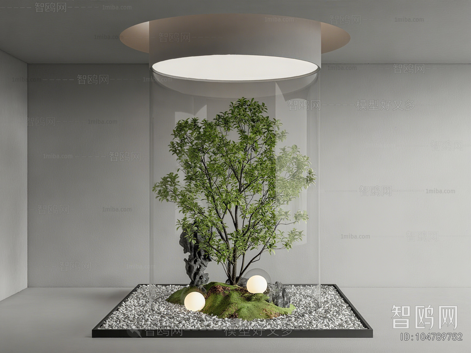 Modern Plant Landscaping