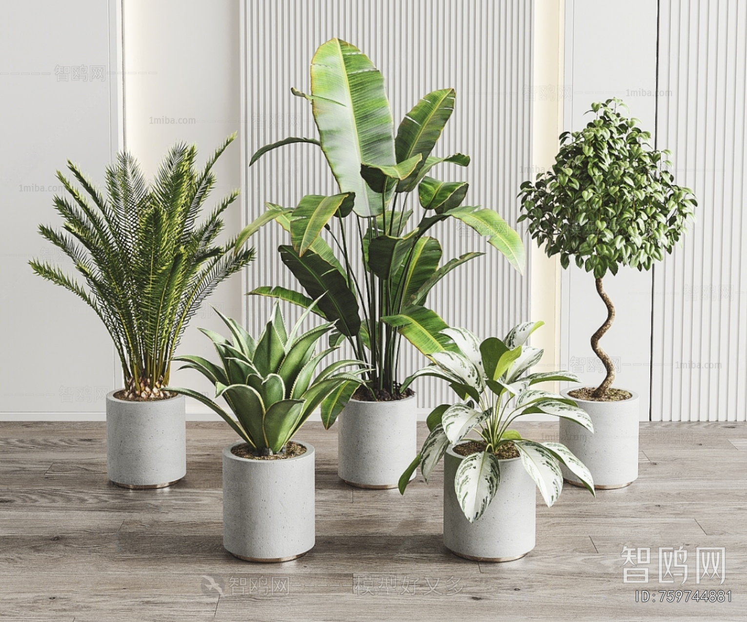 Modern Ground Green Plant Potted Plants