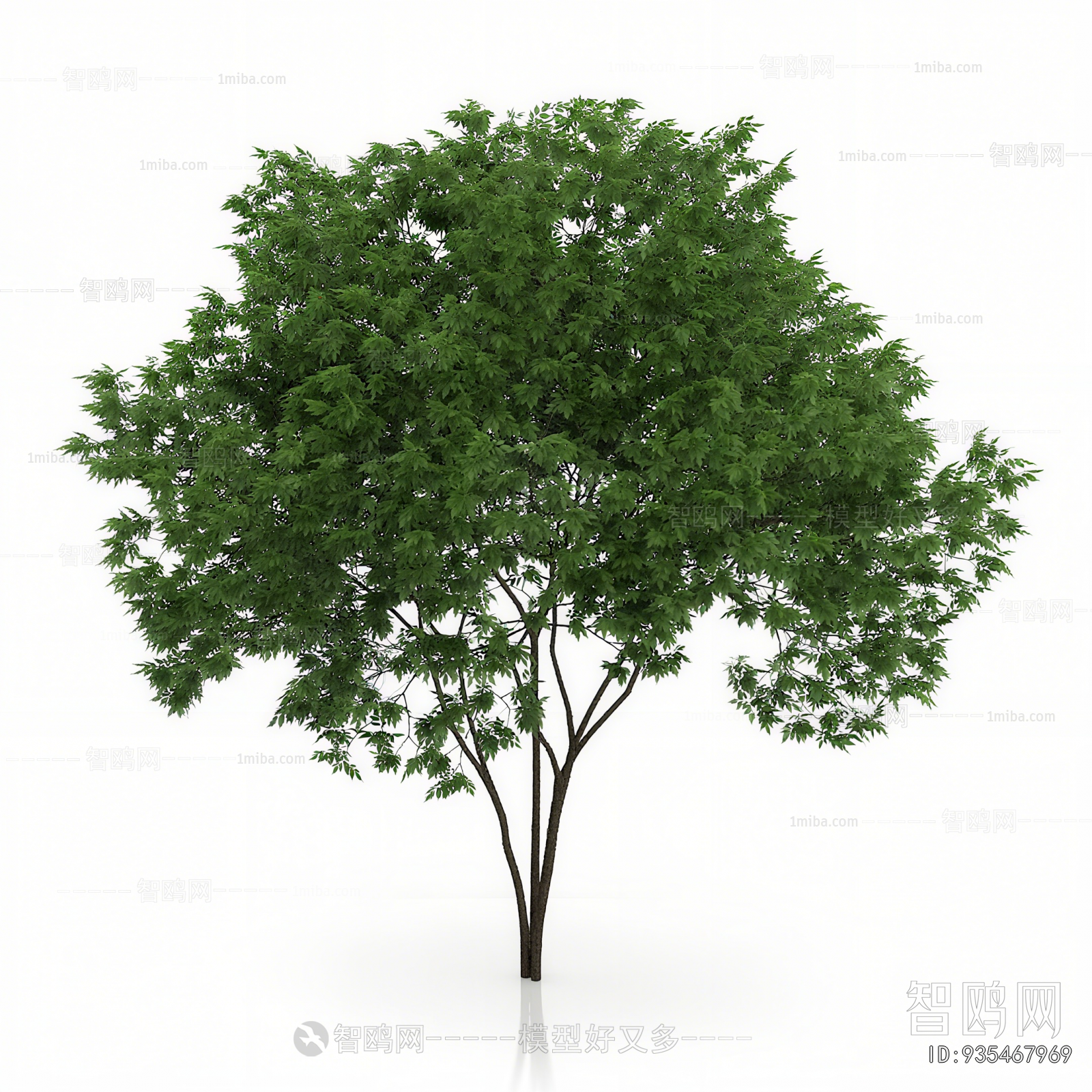 Modern Tree