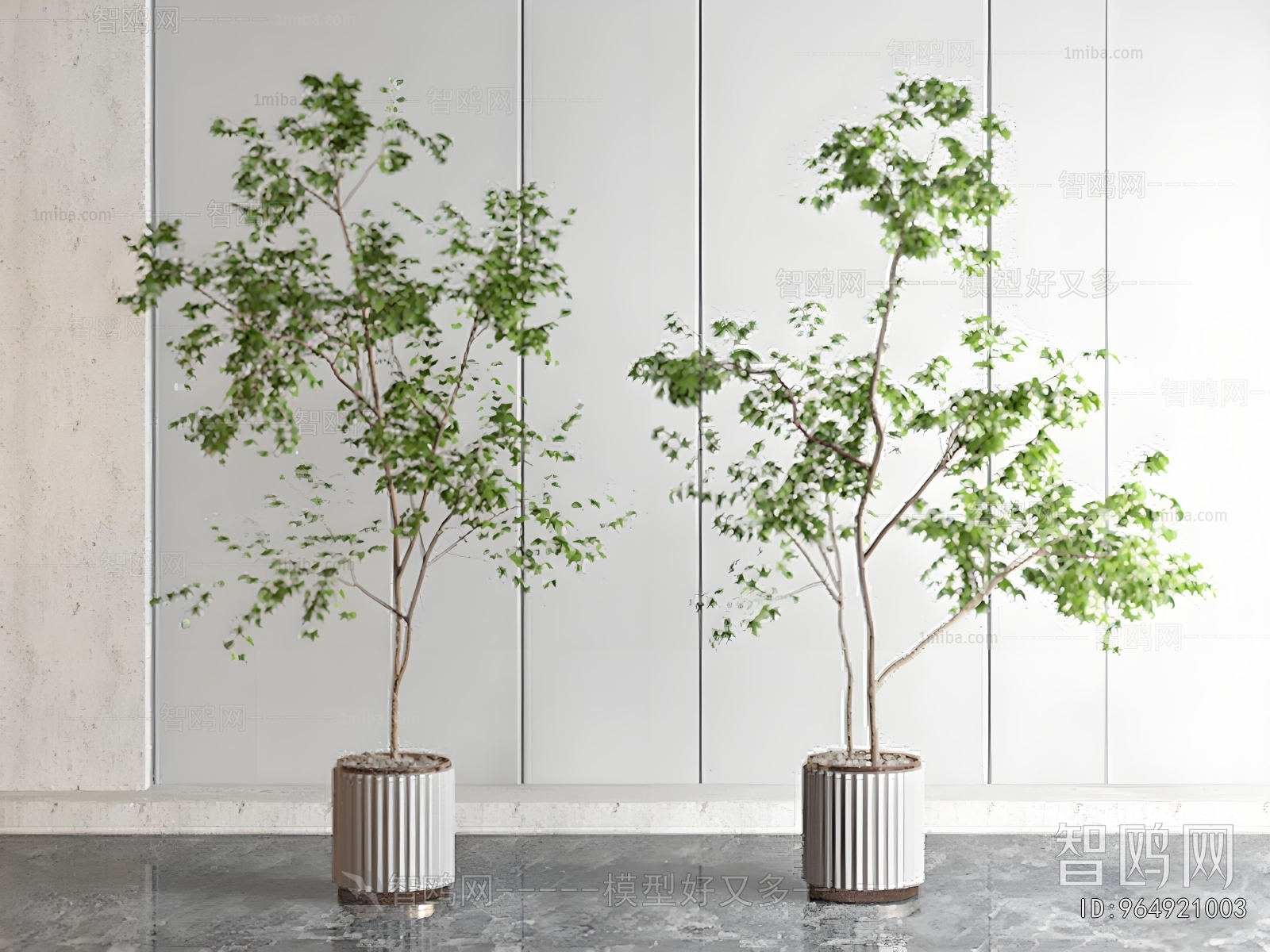 Modern Ground Green Plant Potted Plants