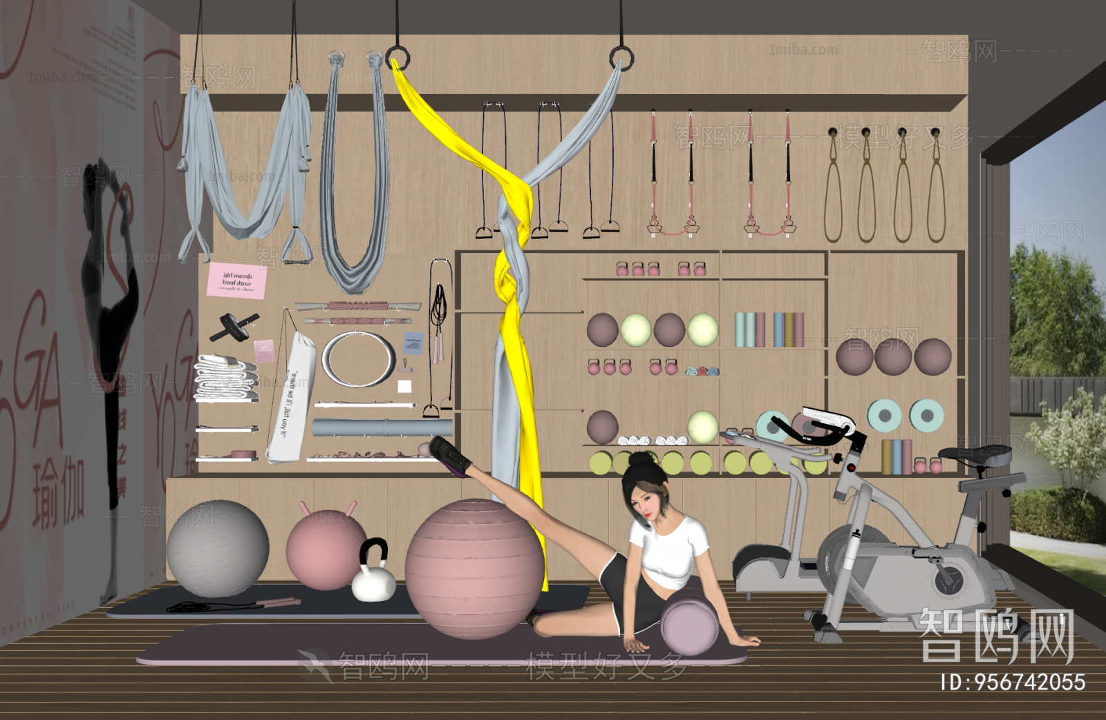 Modern Home Fitness Room