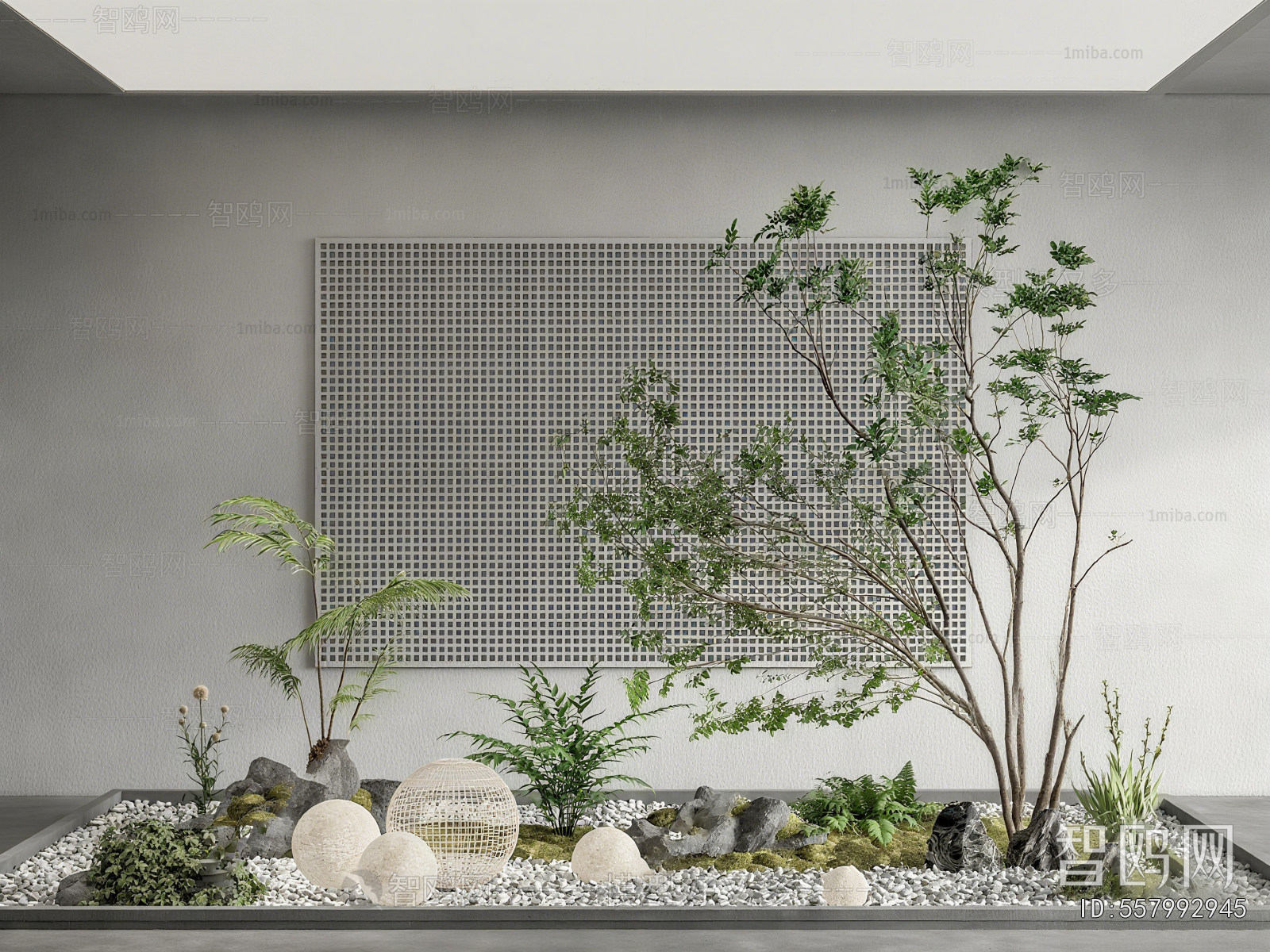 Modern Plant Landscaping