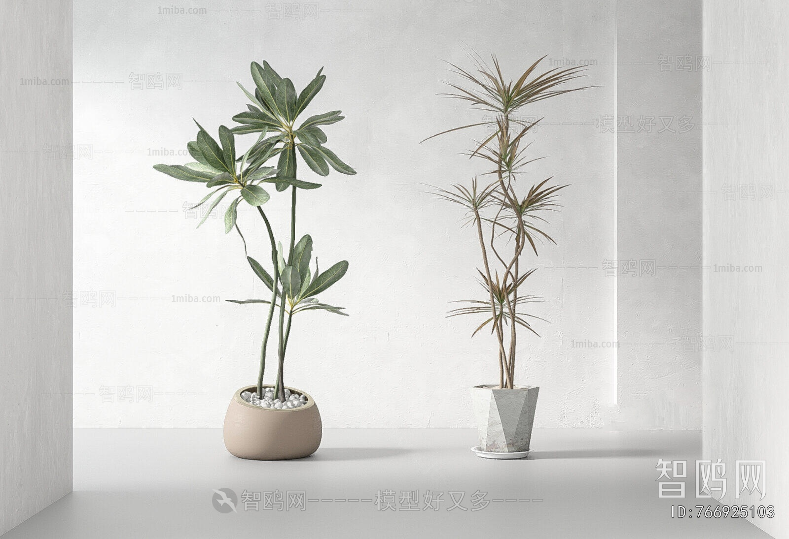 Modern Ground Green Plant Potted Plants