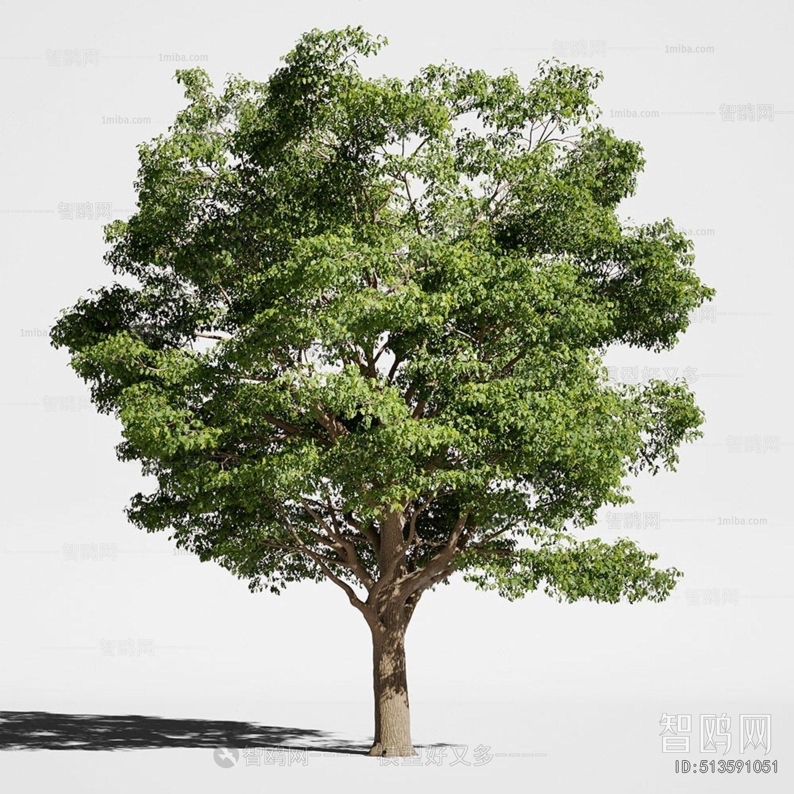 Modern Tree