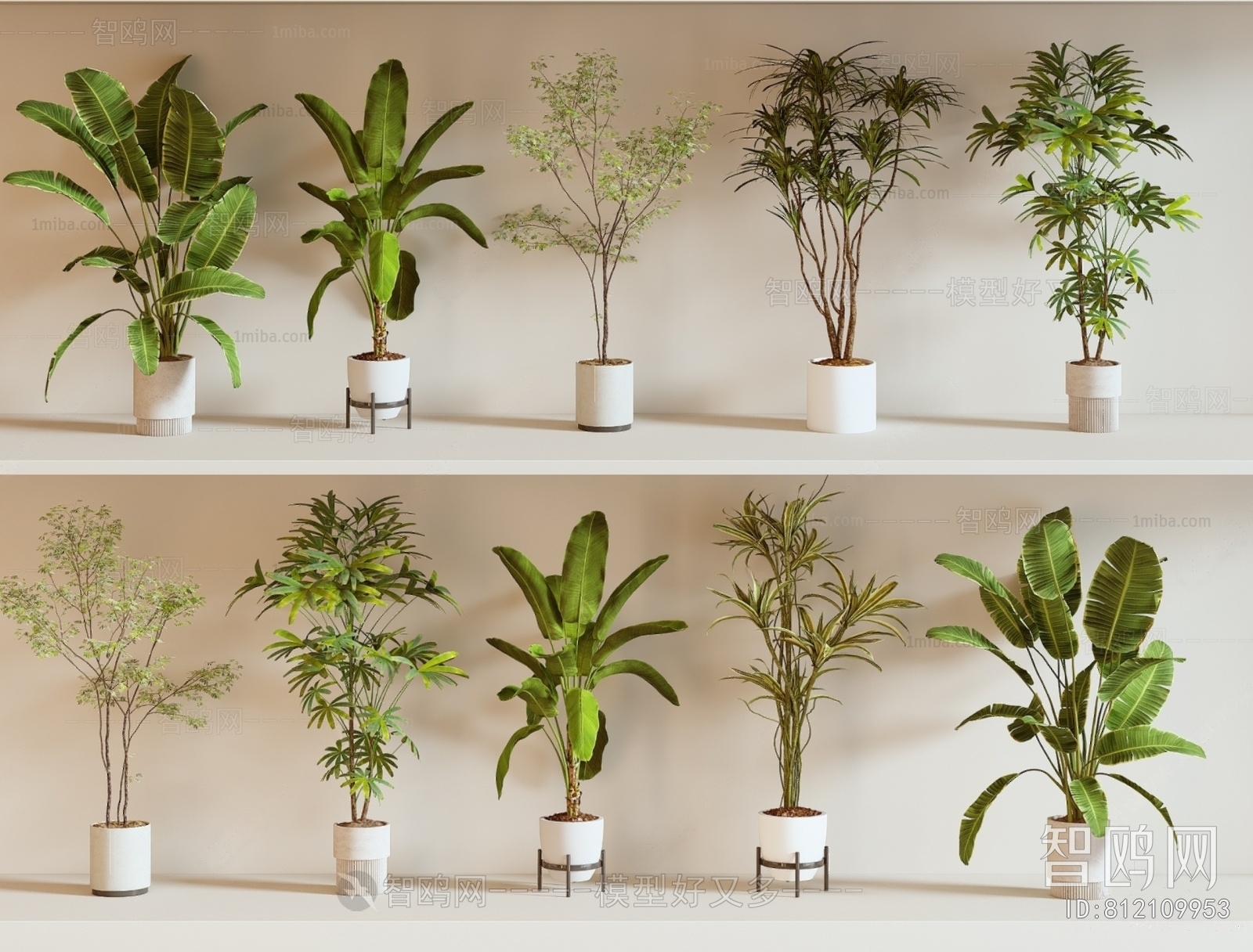 Modern Ground Green Plant Potted Plants