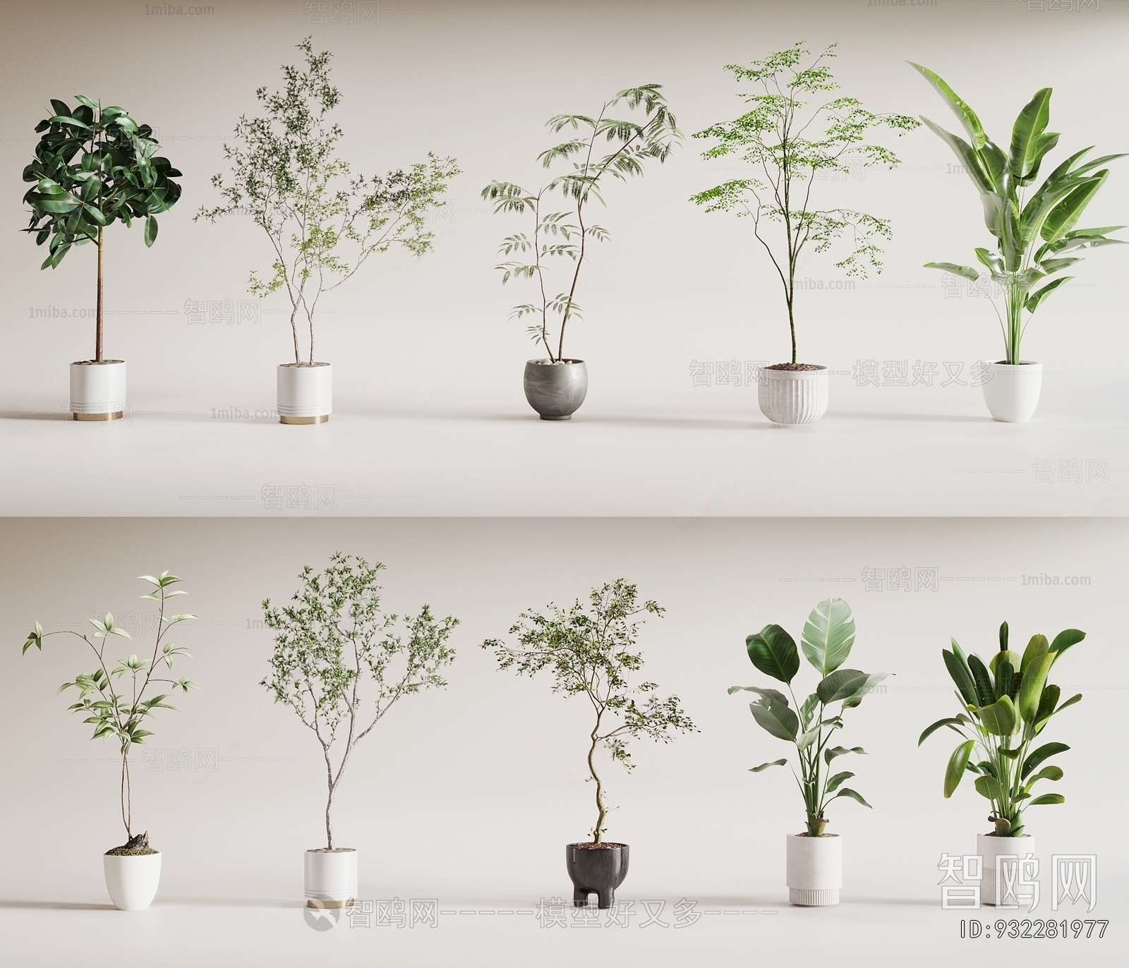 Modern Ground Green Plant Potted Plants