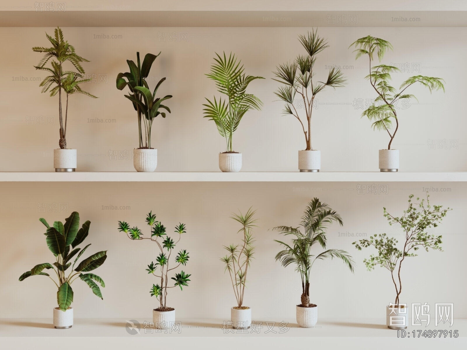 Modern Ground Green Plant Potted Plants