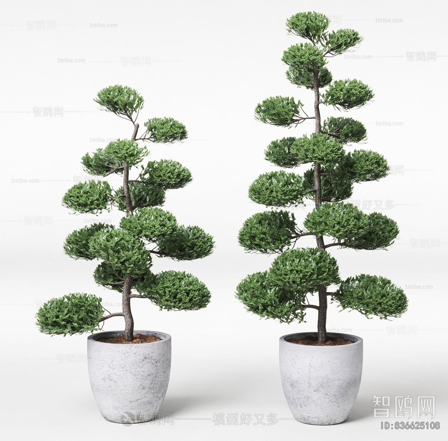 Modern Ground Green Plant Potted Plants