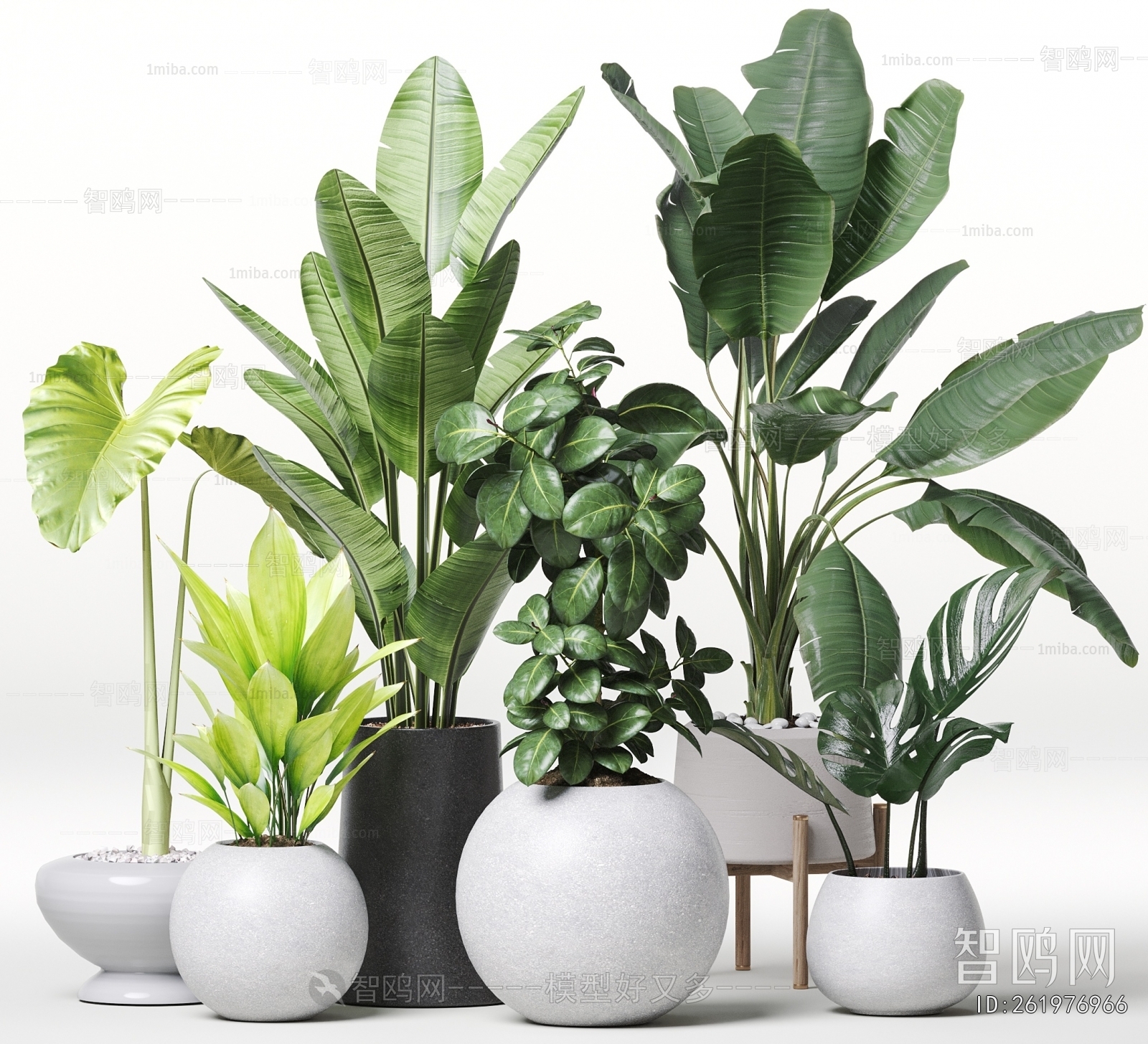 Modern Ground Green Plant Potted Plants