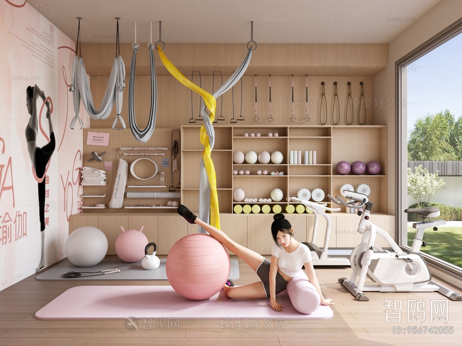 Modern Home Fitness Room