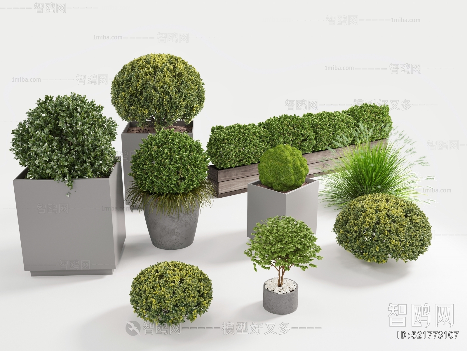 Modern Flower Bed, Flower Bowl, Flower Box